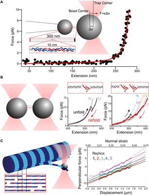 Optical Tweezers Approaches for Probing Multiscale Protein Mechanics and Assembly